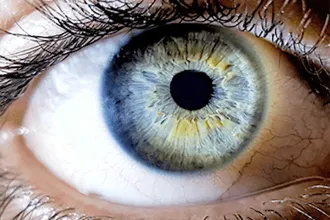 Examen d’iridologie : observation de l’iris à la loupe